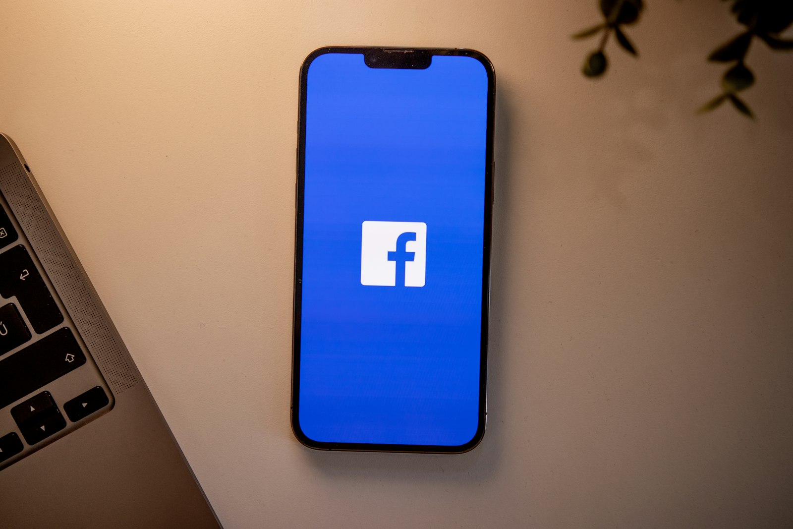 Meta Ads (Facebook & Instagram Advertising)